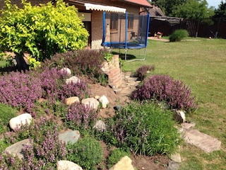 Garten vor Terrassenbereich