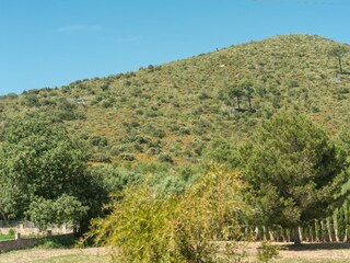 Tenuta Capdepera Ambiente 26