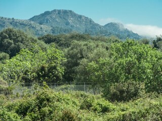 Tenuta Capdepera Ambiente 27