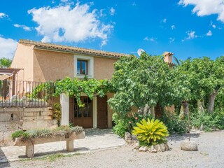 Tenuta Alcudia Registrazione all'aperto 5