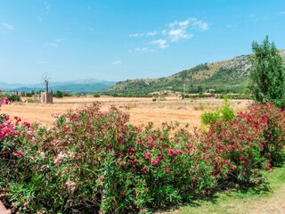 Tenuta Alcudia Ambiente 28