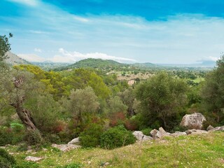 Finca Pollensa Entorno 35