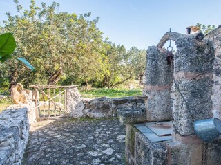 Finca Pollensa Buitenaudio-opname 5