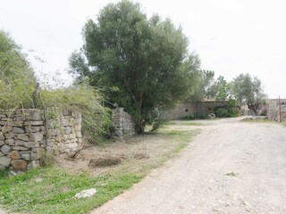 Finca Son Servera Grabación al aire libre 26