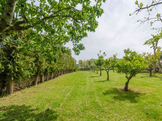 Tenuta Son Servera Ambiente 54