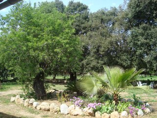 Finca Búger Grabación al aire libre 5