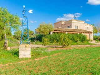 Tenuta Campos Registrazione all'aperto 25