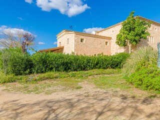 Finca Campos Buitenaudio-opname 26