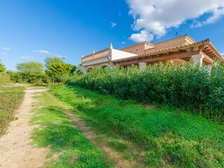 Tenuta Campos Registrazione all'aperto 28