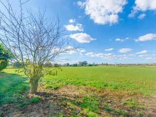 Finca Campos Buitenaudio-opname 27