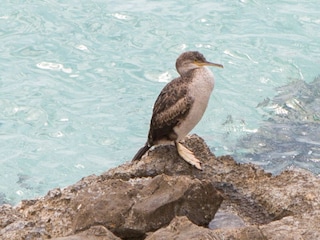 Chalet Sa Rapita Umgebung 2