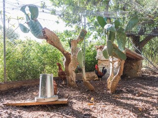 Tenuta Manacor Registrazione all'aperto 16