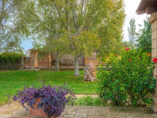 Finca Algaida Buitenaudio-opname 6