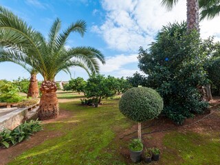 Tenuta Inca Registrazione all'aperto 7