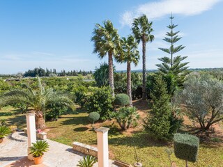 Tenuta Inca Registrazione all'aperto 9