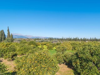 Tenuta Inca Ambiente 36