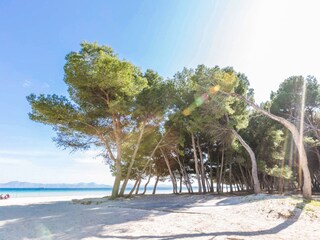 Finca Alcudia Entorno 18