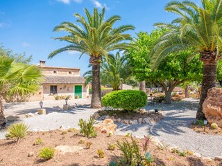 Finca Sencelles  38