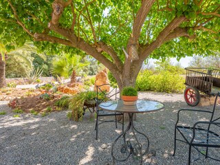 Finca Sencelles  39