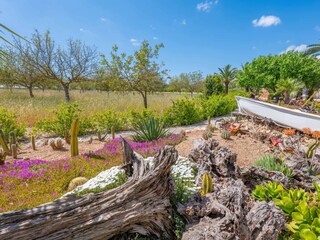 Finca Sencelles  41