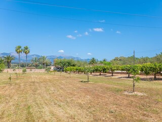 Tenuta Sencelles  70