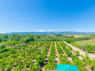 Finca Sencelles Buitenaudio-opname 9