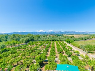 Finca Sencelles Enregistrement extérieur 9