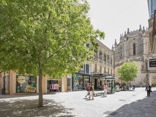 Tenuta Manacor Ambiente 51