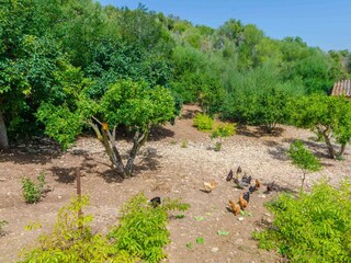 Tenuta Manacor Registrazione all'aperto 25