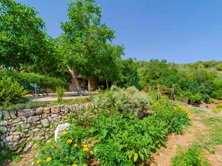 Tenuta Manacor Registrazione all'aperto 26