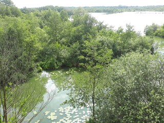 Natur pur: Blick vom Moorochsen