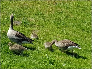 Hier gibt es überall: Natur pur.