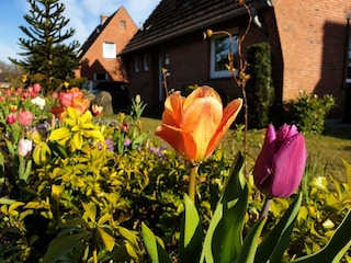Ferienhaus im Kanalblick