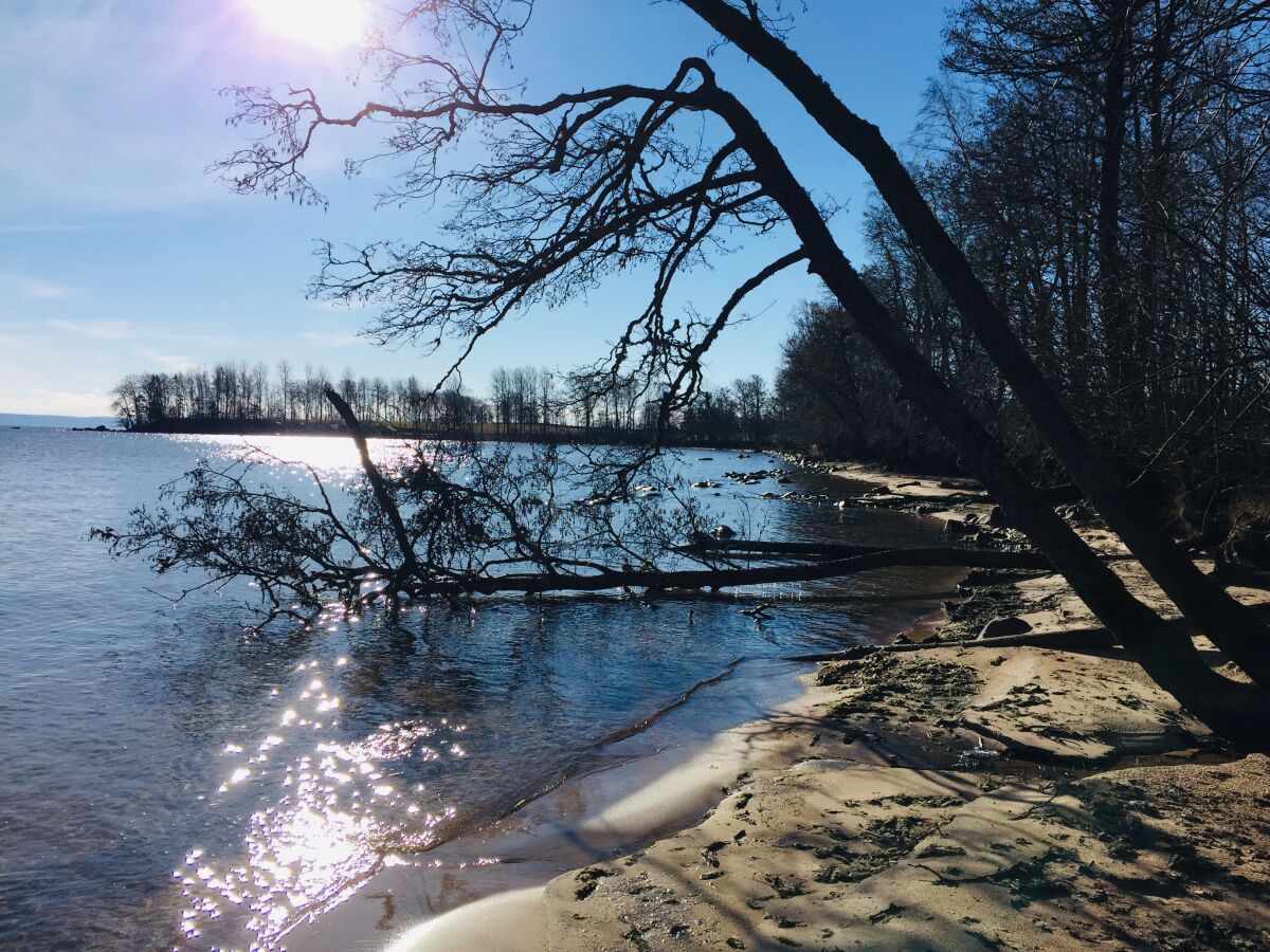 am Strand