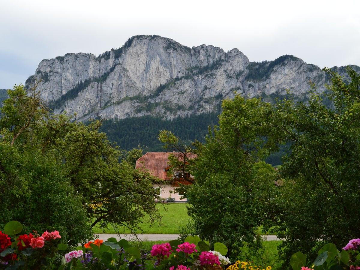 Holiday apartment St. Lorenz am Mondsee Outdoor Recording 1