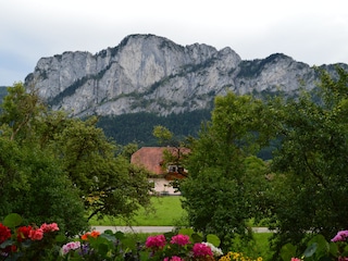 Holiday apartment St. Lorenz am Mondsee Outdoor Recording 8