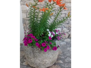 Appartamento per vacanze Tar Registrazione all'aperto 5