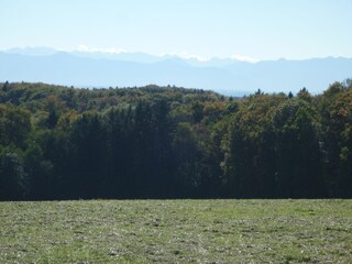 Blick in den Pfaffenwinkel