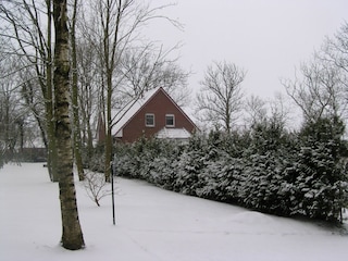 Ferienhaus Dornumersiel Umgebung 14