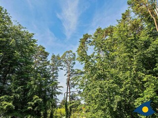 Ausblick vom Balkon auf den Hof