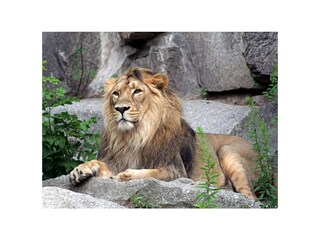 Tierpark Berlin