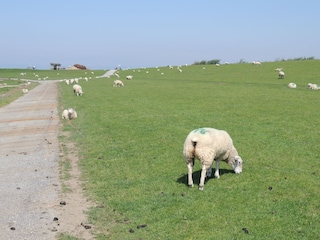 Das andere, ruhige Sylt