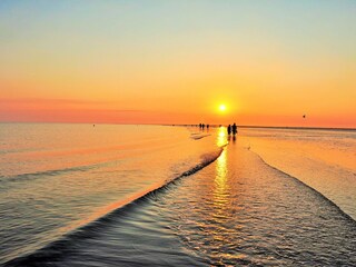 Spaziergang in den Sonnenuntergang
