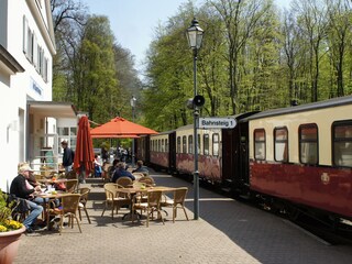 Molli in Heiligendamm