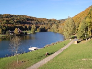 Buntes Herbstlaub spiegelt sich im See