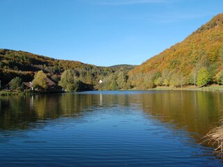 ein Spaziergang um den See lohnt immer