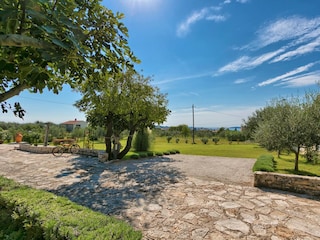 Parking and the garden
