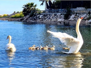 Vakantieappartement Villeneuve-Loubet Omgeving 18