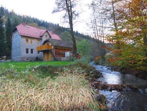 Ferienhaus Schneekopf - Gehlberg - image1