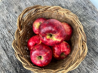 Eigene Blumen und Obst für unsere Gäste